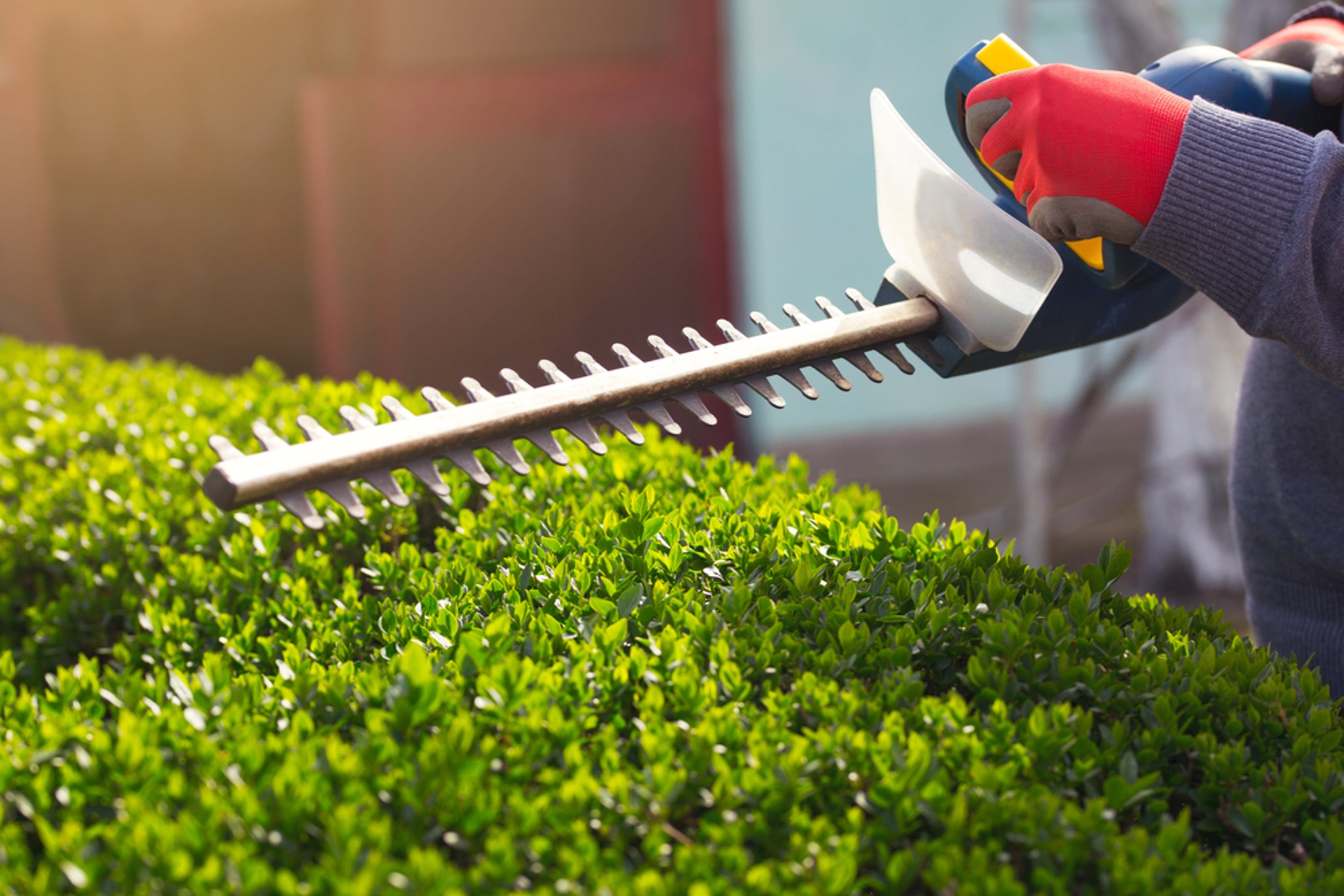 The 5 best cordless hedge trimmers UK 2021: Prepare your ...