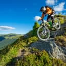 Voodoo, Vitus or Pinnacle: which is the best mountain bike for you? 