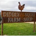 A petition to keep Jeremy Clarkson’s Diddly Squat Farm restaurant open has gathered over 150,000 signatures.