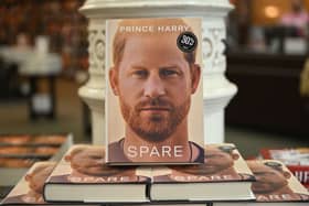 Prince Harry's memoir is being parodied by Bruno Vincent (Pic:Getty)