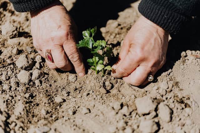 Tackling your garden in preparation for spring is no mean feat