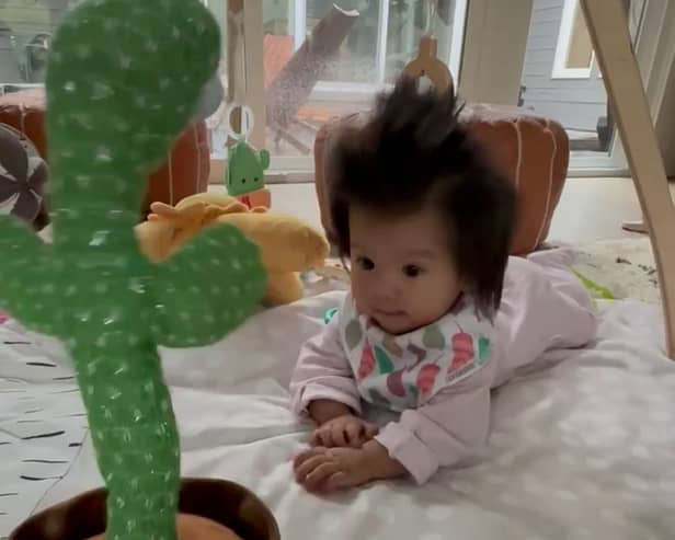 Millie Ray, a five-month-old baby with abnormally thick hair, Vancouver, British Columbia, Canada, 2023. See SWNS story SWSMhair. This baby has such an impressive head of hair that people think she's wearing a wig. Millie Ray, a five-month-old, was born with thick hair, and it has now grown so thick that people assume she's wearing a wig for babies. Julia Zhou, AGE, and Alex Kwong, AGE, Millie's parents say that people are fascinated by the tot's impressive mop of hair. They often ask the young parents, from Vancouver, B.C., Canada, if she is wearing a wig and assume she's older than she is. 