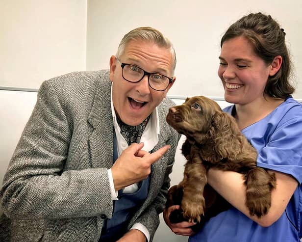 Sussex spaniel Elton, who has recovered from paralysis, with veterinary physiotherapist Holly Finelli and master dog trainer Graeme Hall