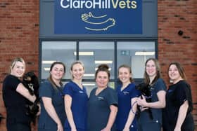 Meet the team at Claro Hill Vets, left to right, Kathryn Sowray (RVN), Georgina Vicente (morning receptionist), Laura Keyser (vet), Debbie Troake (receptionist/admin), Heather Morrison (vet), Molly Brown (afternoon receptionist) and Stacey Andrews (RVN)