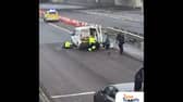 Ducklings cause chaos near the Tyne Tunnel during rush hour