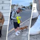 Watch the funny moment a fox bites a man's ankle whilst he is waiting for the bus. 