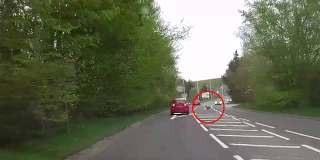 Deer runs across busy main road causing car to swerve.