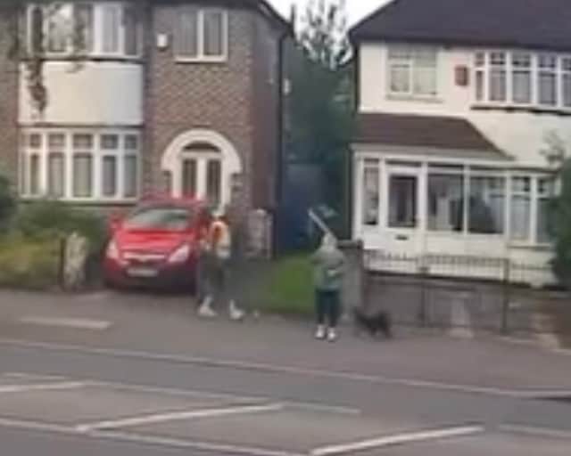 CCTV footage shows the moment an aggressive man gets out of his car and kicks a small dog who was walking alongside it's owner.