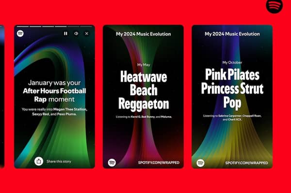 Spotify Wrapped 'music evolution' feature. Photo: Spotify