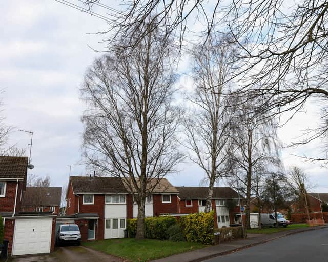The trees on Columbia Drive Worcester have preservation order and cannot be felled.