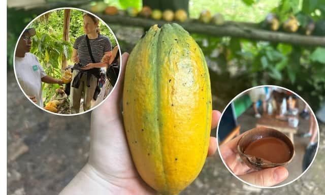 Reporter Amber Allott got the chance to learn about chocolate making farm-to-fork in Belize