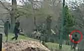 Harrowing CCTV shows the final moments of a teenager's life as he fled two thugs who stabbed him in a park in broad daylight.  