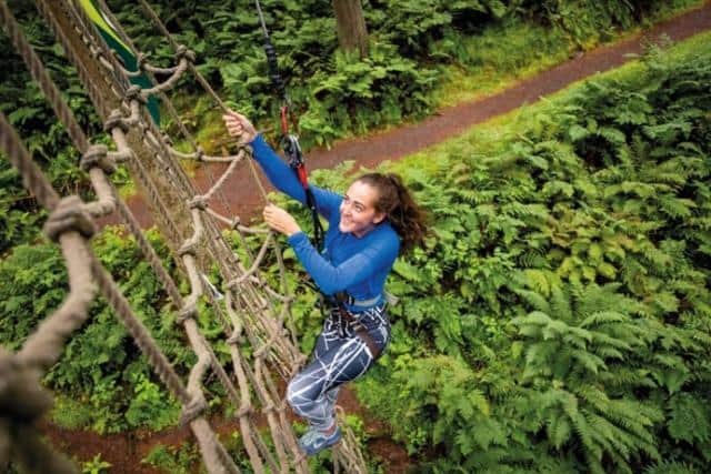 Get the adrenaline pumping weather your young or old with one of the many exciting activities available with Go Ape.