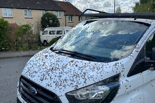 Pictures shows the swarm of bees on a van in Heeley, Sheffield. Photo: Errol Edwards