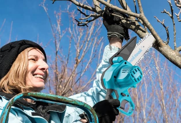 A mini chainsaw is an ideal tool for pruning season