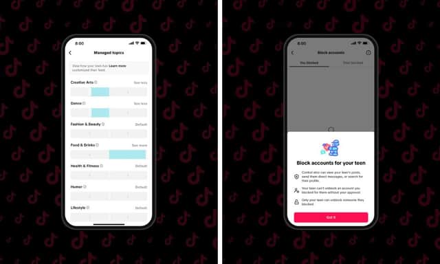 Other new features include the ability to block accounts for your teen, and the ability to see the content topics that interest them