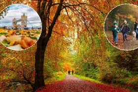 The weather over the past summer may trigger an especially vibrant display this autumn