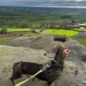 These are the walks that users of the free AllTrails app think you should be checking out this spring and summer