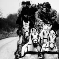 16 photos to transport you back to Harrogate in the 1980s - from The Stray to Eurovision