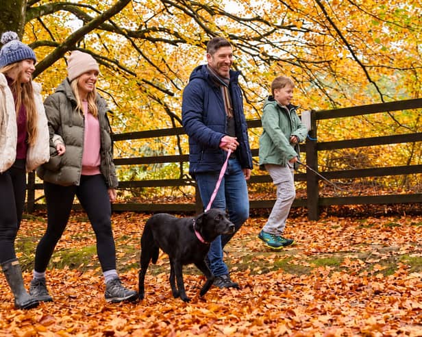 Family holidays for less than £100? You'd be surprised how many options there are