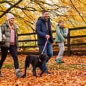 Family holidays for less than £100? You'd be surprised how many options there are