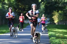 26th September 2026
Harewood Wild Autumn Trail Runs
Pictured runners and their dogs taking part in the run.
Picture Gerard Binks