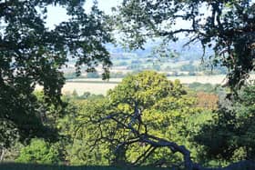 26th September 2026
Autumn walk around Harewood Estate
Picture Gerard Binks