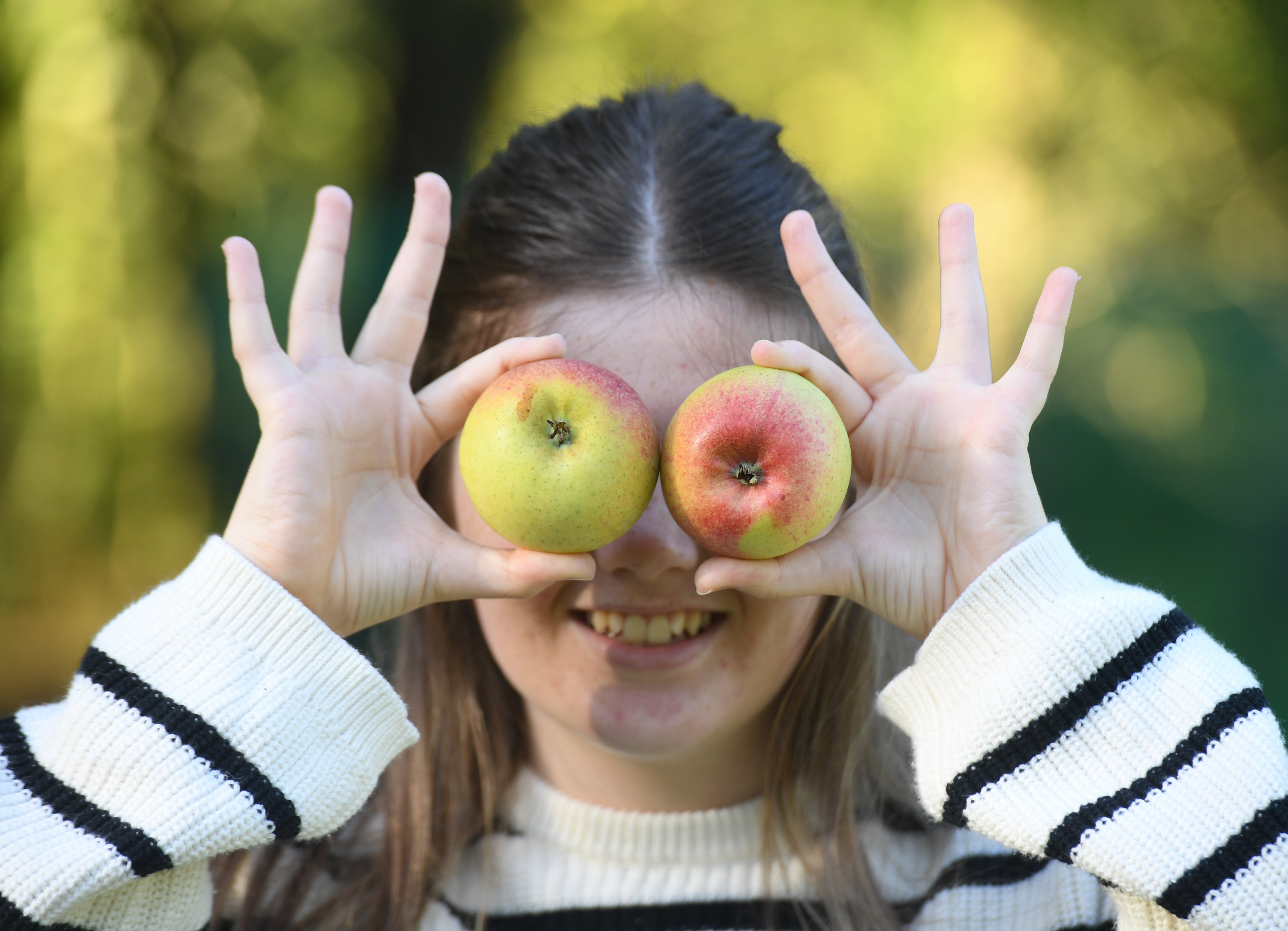 Apple Day brings Ripon community together
