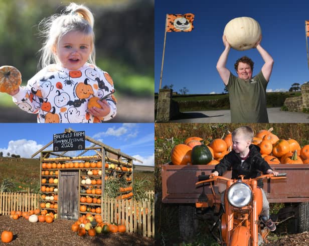 We take a look at 13 photos of families enjoying pumpkin picking and Halloween fun at Birchfield Ice Cream Farm near Harrogate