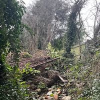 Fly-tipping at award-winning Wetherby park costs council over £2,000