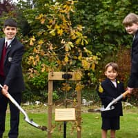 Planting of oak is a 'fitting way' to mark the special day King Charles paid a visit to Harrogate school