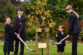 Pupils at Harrogate's Duchy College help plant the oak tree gifted to the school by the monarch.