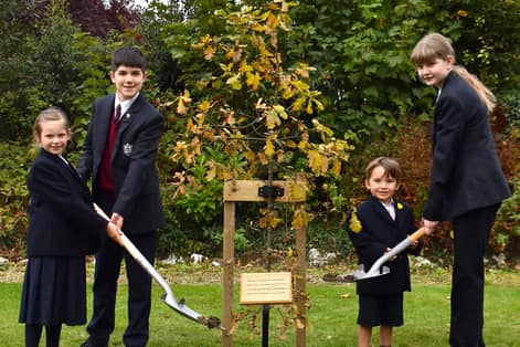 Pupils at Harrogate's Duchy College help plant the oak tree gifted to the school by the monarch.