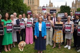 Lib Dem MPs highlight national concerns about maternity care with Harrogate MP Tom Gordon pictured in the back row, centre.