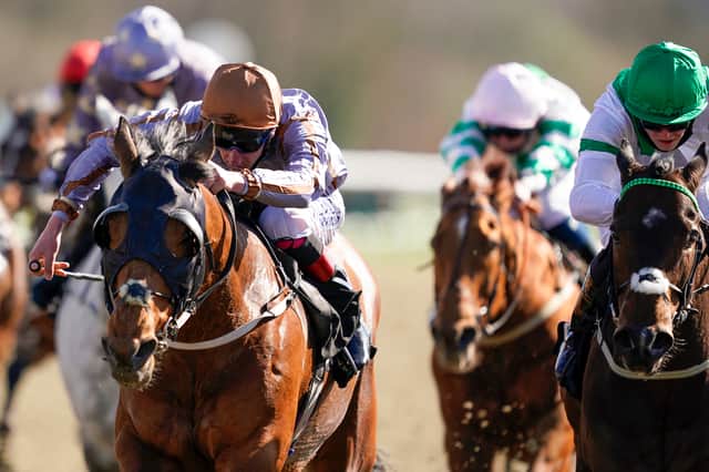 Turf Talk, with horse racing expert Jeff Garlick. Picture: Alan Crowhurst/Getty Images