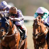 Turf Talk, with horse racing expert Jeff Garlick. Picture: Alan Crowhurst/Getty Images