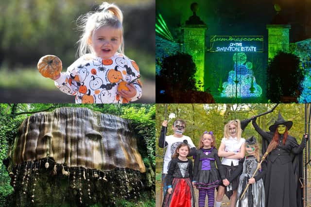 Families can enjoy everything from Halloween trails and pumpkin patches to creative workshops and outdoor adventures across the Harrogate district this October half term