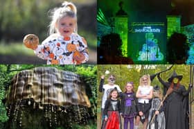 Families can enjoy everything from Halloween trails and pumpkin patches to creative workshops and outdoor adventures across the Harrogate district this October half term