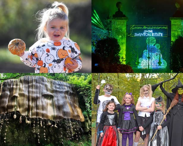 Families can enjoy everything from Halloween trails and pumpkin patches to creative workshops and outdoor adventures across the Harrogate district this October half term