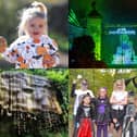 Families can enjoy everything from Halloween trails and pumpkin patches to creative workshops and outdoor adventures across the Harrogate district this October half term