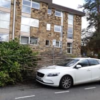 Storm-hit Harrogate tackles fallen trees, blocked roads, power cuts and road and rail disruption