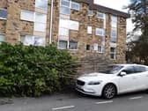 Impact of Storm Boelo - A fallen tree nearly damaged this car in Harrogate on East Park Road on Sunday.
