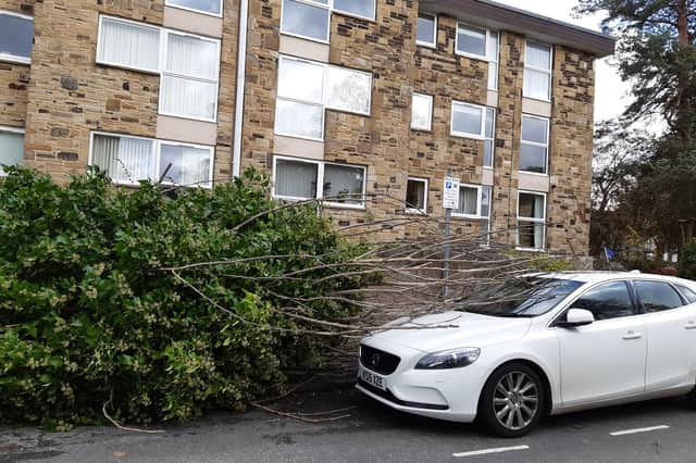 Impact of Storm Boelo - A fallen tree nearly damaged this car in Harrogate on East Park Road on Sunday.