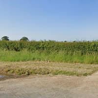 Opposition grows to plans for 360,000-chicken farm near Ripon despite new waste disposal proposals