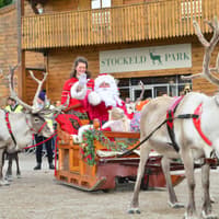 Wetherby family attraction launches appeal to share festive photos