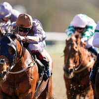Turf Talk: Wetherby Racecourse to stage its biggest meeting of the season