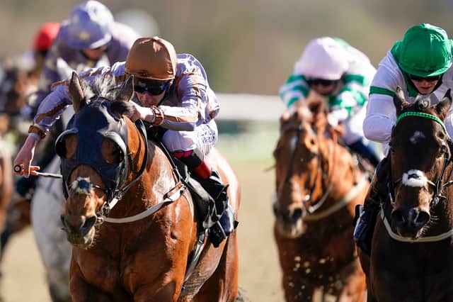 Turf Talk, with racing expert Jeff Garlick. Picture: Alan Crowhurst/Getty Images