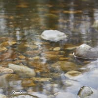 Yorkshire Water unveils plans to launch seven sewer discharge reduction projects in Knaresborough by 2030