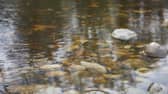 Yorkshire Water is investigating and planning seven potential CSO discharge reduction projects in Knaresborough, to be completed by 2030.   