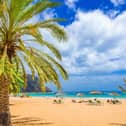 Tenerife sunshine awaits Yorkshire holidaymakers in the Hays Travel online sale